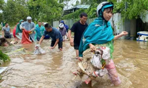 Khuyến cáo dân vùng lũ không dùng gia cầm chết chế biến thực phẩm