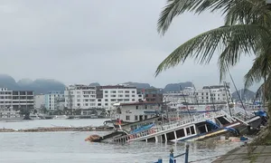 Một số tour, phòng miền Bắc gián đoạn hết tháng 9 Một số tour, phòng miền Bắc gián đoạn hết tháng 9