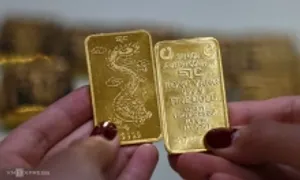 Giá vàng miếng lên cao nhất hai tuần